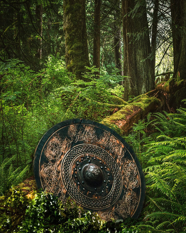 Bouclier Viking - Shield of Frost Bouclier Viking - Shield of Frost