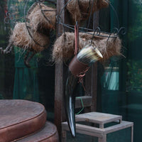 Drinking ox horn from Valhalla Drinking ox horn from Valhalla