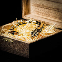 Bracelet \"Jörmungand's Wrath\" - GOLD version Bracelet \"Jörmungand's Wrath\" - GOLD version