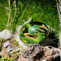 Dragon's egg - Transparent resin Dragon's egg - Transparent resin