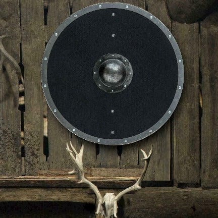 Viking Shield - Heimdall's Barrier