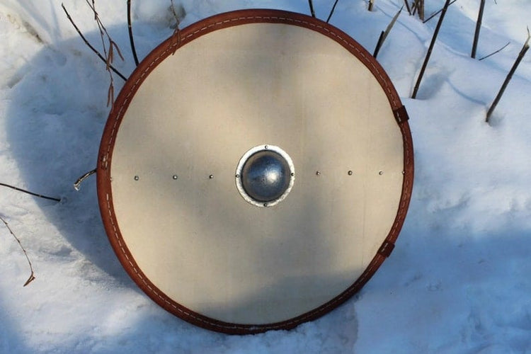 Viking Shield - Protection from the Ice Breezes