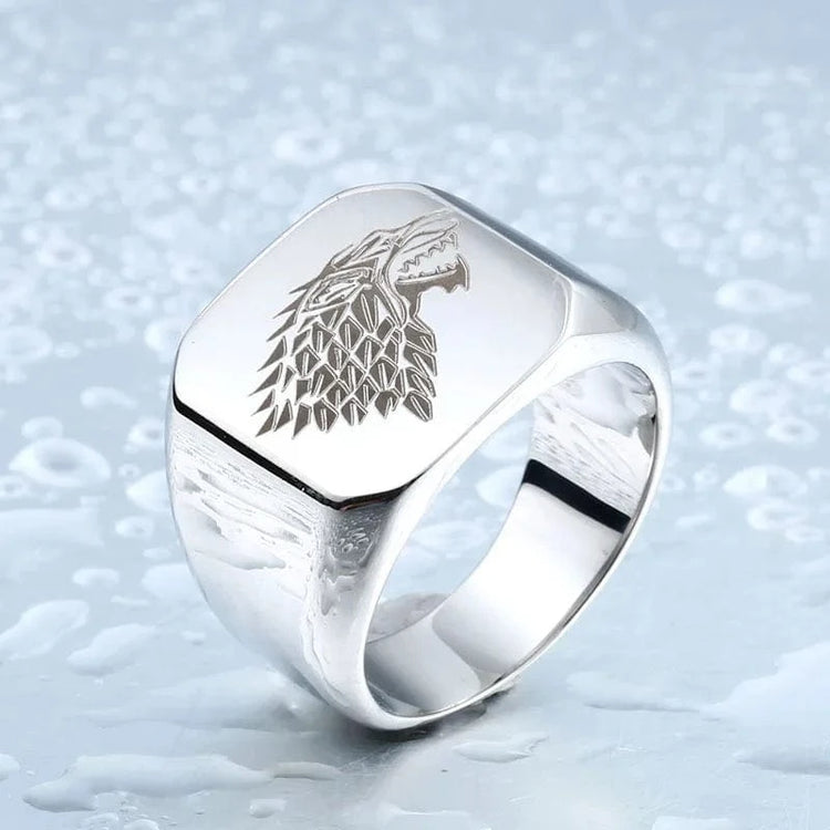 Knight of the Stark family