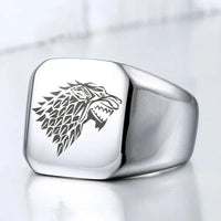 Knight of the Stark family