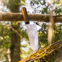 Viking Knife by Ragnar - Culinary Excellence and Nordic Heritage