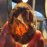 Dragon's egg - Transparent resin